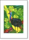 Cassowary