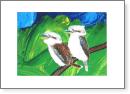 Laughing Kookaburra