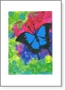 Blue Butterfly